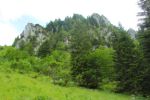 2014-07-05_Laengental-N-Hochweg (932). JPG